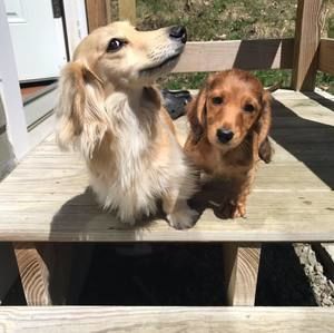 Meet your Posher, Kel